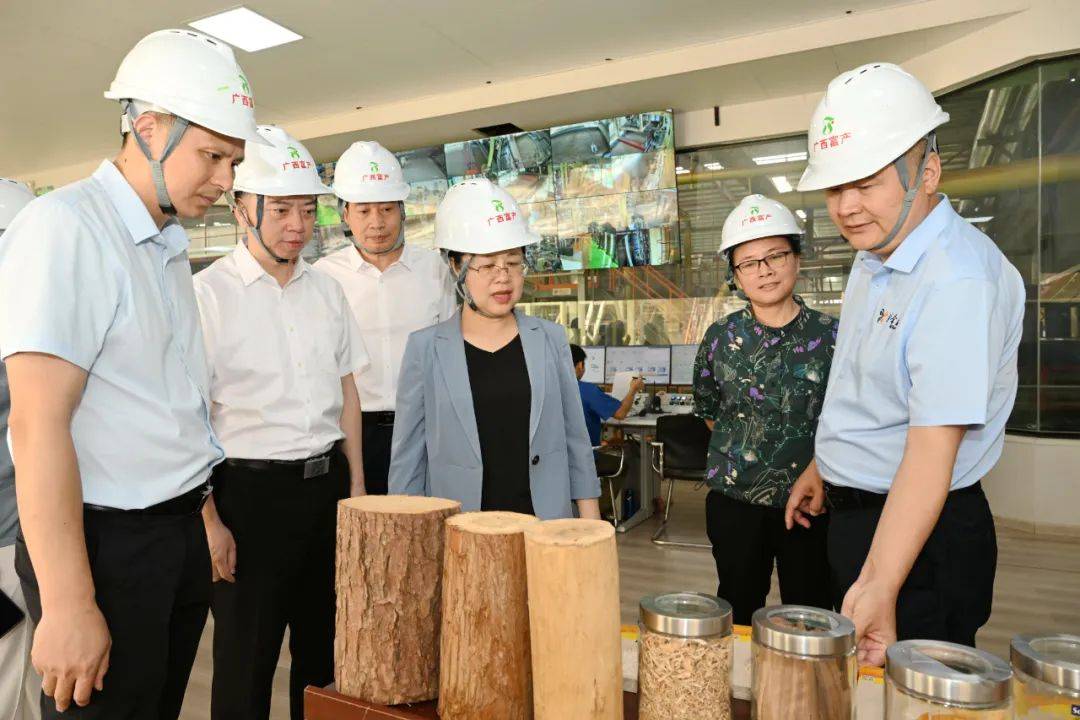 钟畅姿到浦北县督导涉重金属环境安全隐患排查整治及产业项目建设工作