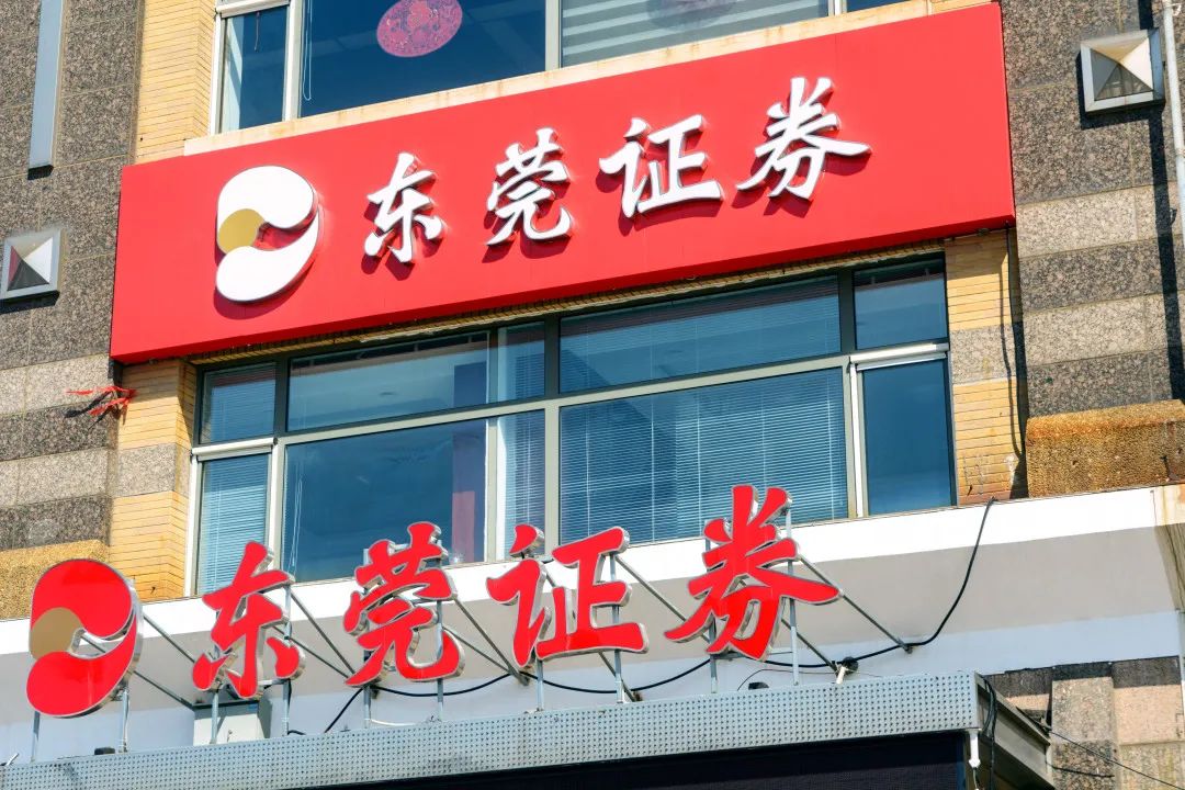 东莞证券掌证宝(东莞证券掌证宝官方下载)