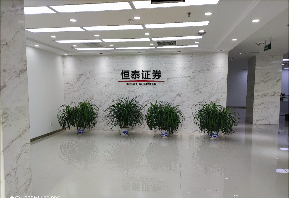 证券设计(证券设计理论及融资工具创新)